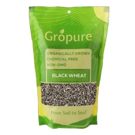 ORGANIC BLACK WHEAT